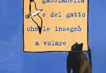 libro gabbianella