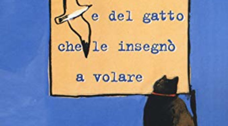 libro gabbianella